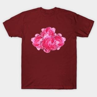 Peonies - Pink watercolour T-Shirt